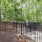 outdoor play area for dogs
